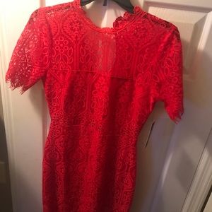 Lulus dress red lace midi